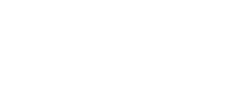 Logo deyce
